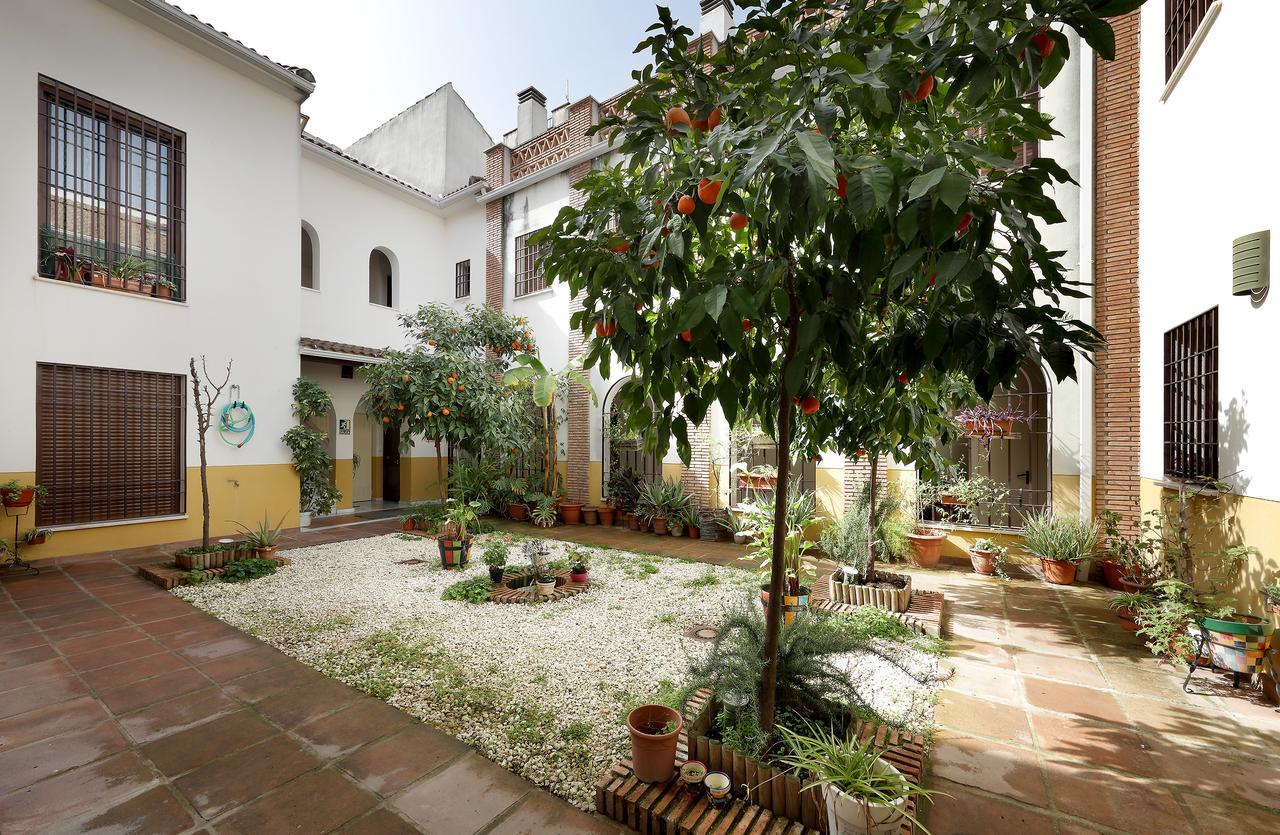 Apartamentos Patios De Alcantara Cordoba Exterior photo